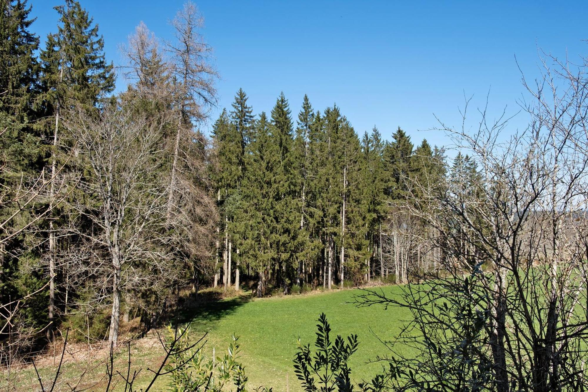 Ferienwohnung Schartenschmiede St. Georgen im Schwarzwald Exterior foto